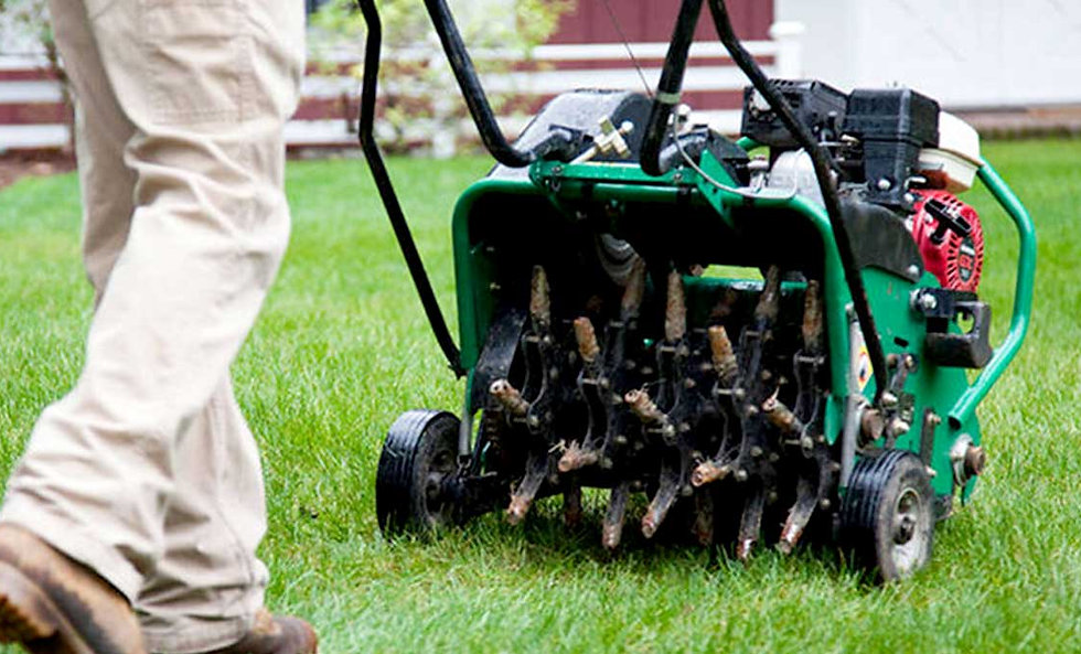 Lawn Seeding in Guelph — professional lawn care in Guelph Ontario