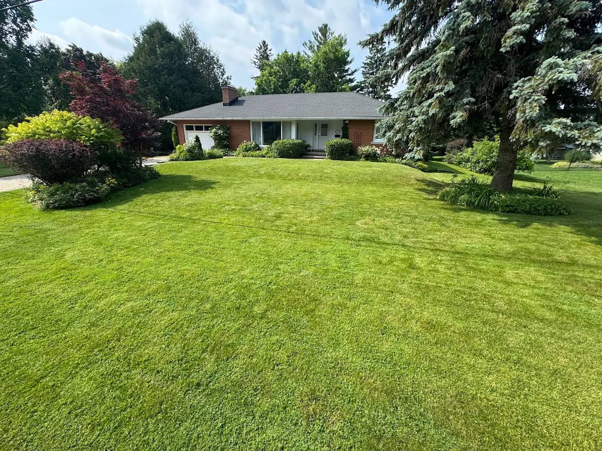 Dethatching in Guelph — professional lawn care in Guelph Ontario