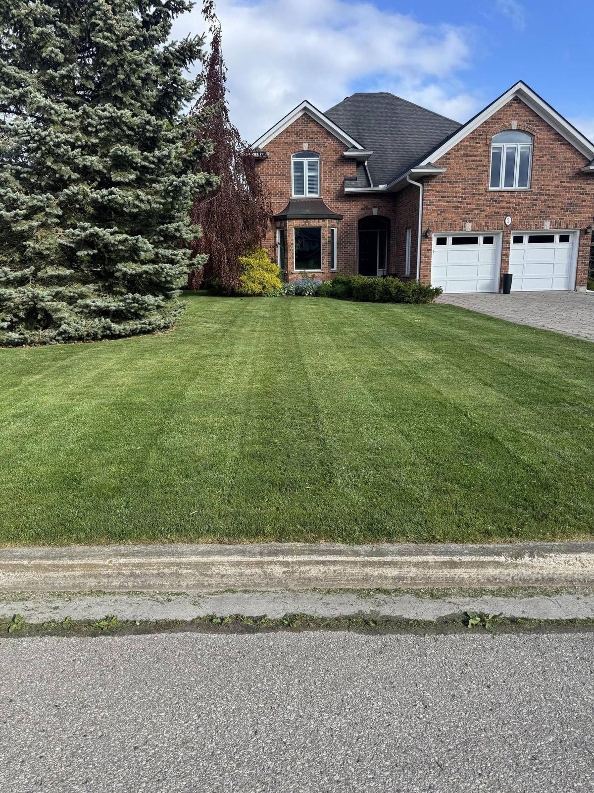 Commercial Lawn Care in Guelph — professional lawn care in Guelph Ontario