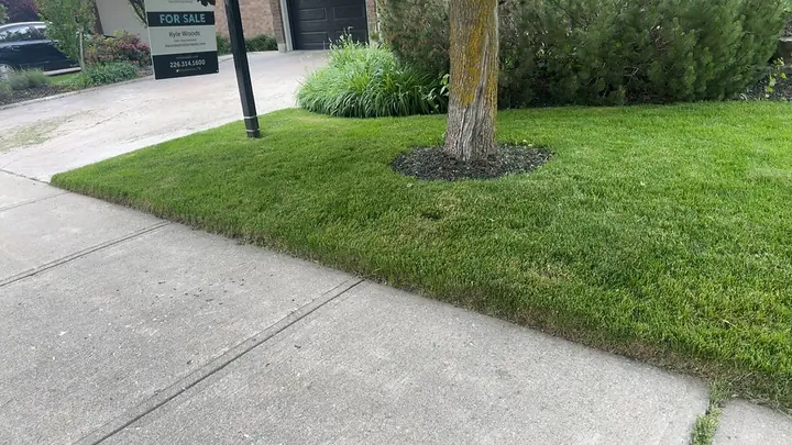 Spring & Fall Cleanup in Guelph Ontario — A Cut Above Yard Services