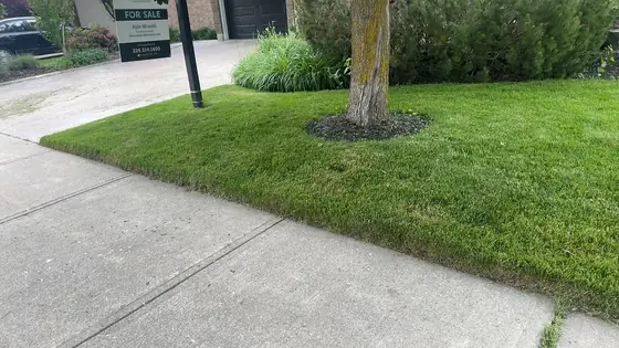 Lawn care and landscaping services in Guelph Ontario by A Cut Above Yard Services