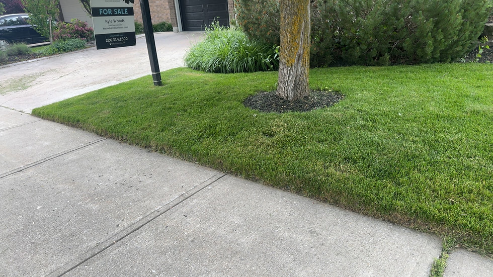 Lawn care and landscaping services in Guelph Ontario by A Cut Above Yard Services